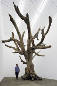 Ai Weiwei: Tree, 2009-2010 Foto: © NOSHE